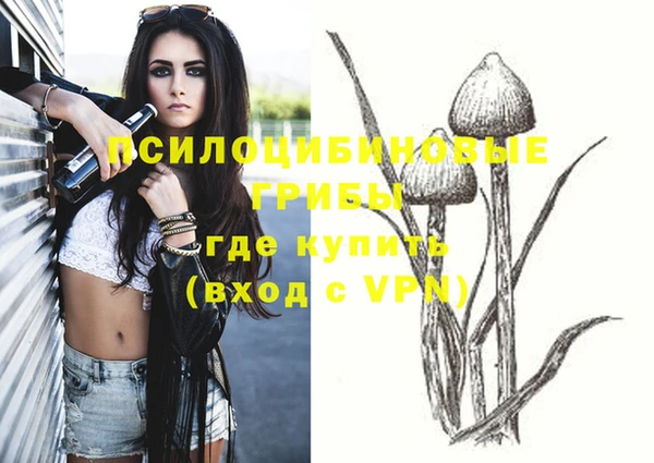 мет Абаза