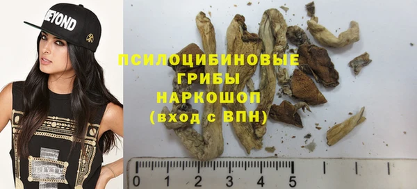 эйфоретик Абинск