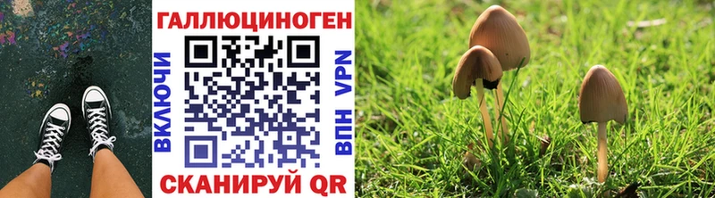 Галлюциногенные грибы Cubensis  Севастополь 